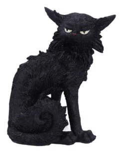 Salem Magierkatze 16,6cm