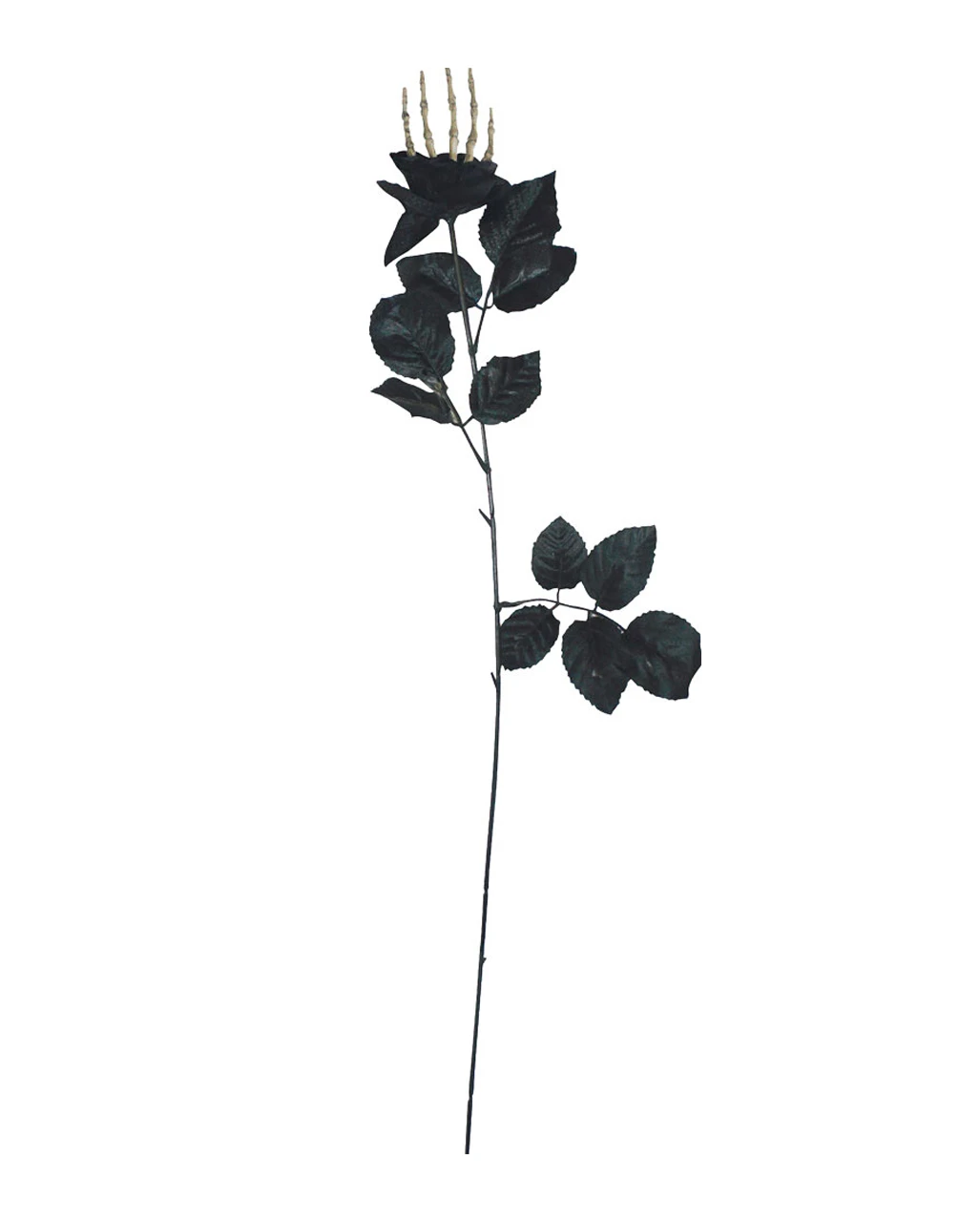 Schwarze Rose Mit Knochenhand