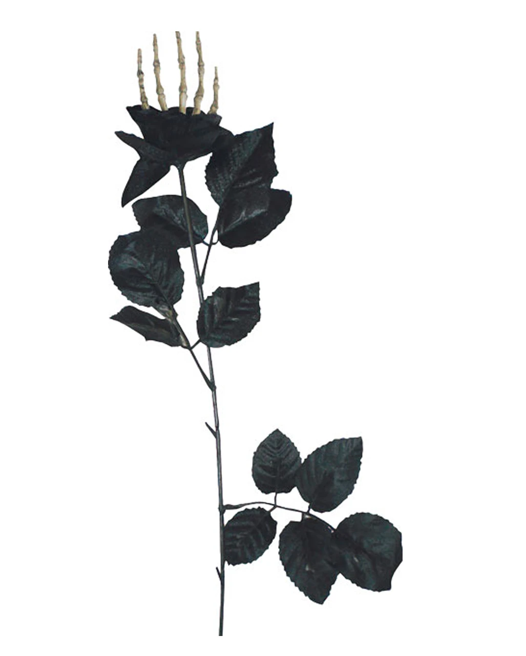Schwarze Rose Mit Knochenhand – Bild 2