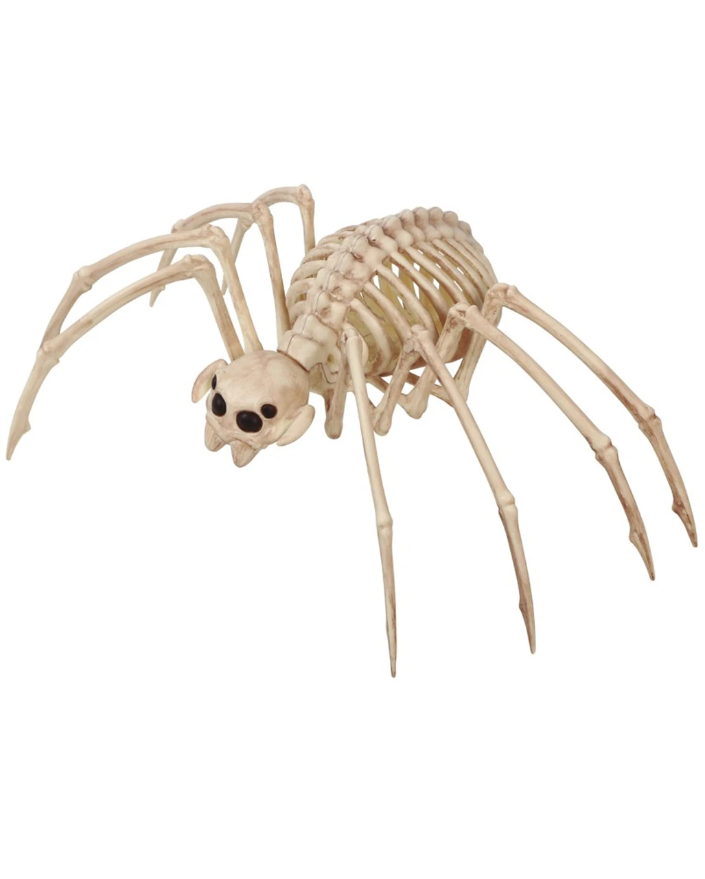 Tarantel Skelettfigur Spinne 20x35cm